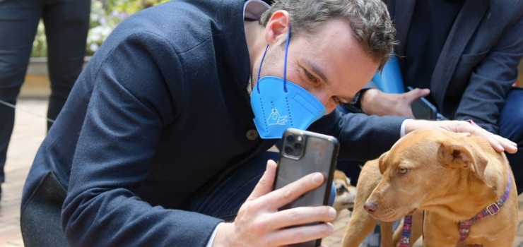 Servidores del Distrito adoptaron 19 mascotas rescatadas por el Bienestar y Protección Animal