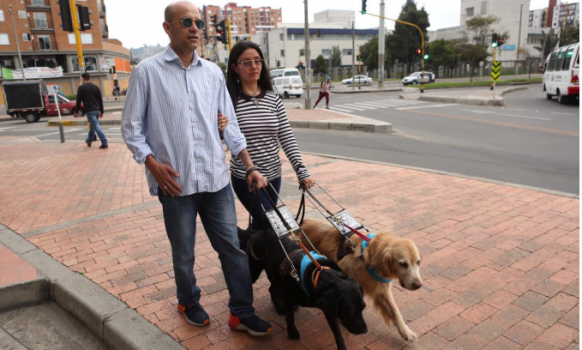 Reformulación de la Política Pública Distrital de Discapacidad