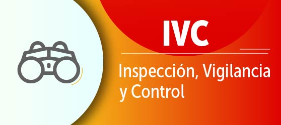 IVC - INSPECCIÓN, VIGILANCIA Y CONTROL
