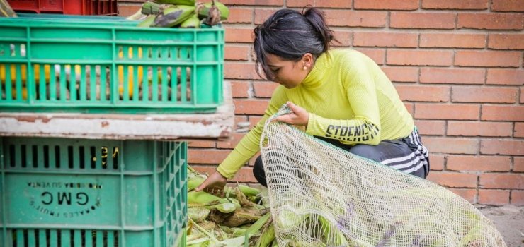 114 ciudadanos recibieron pedagogía y 15 sancionados tras operativos por manejo inadecuado de residuos en Bogotá 114 ciudadanos recibieron pedagogía y 15 sancionados tras operativos por manejo inadecuado de residuos en Bogotá