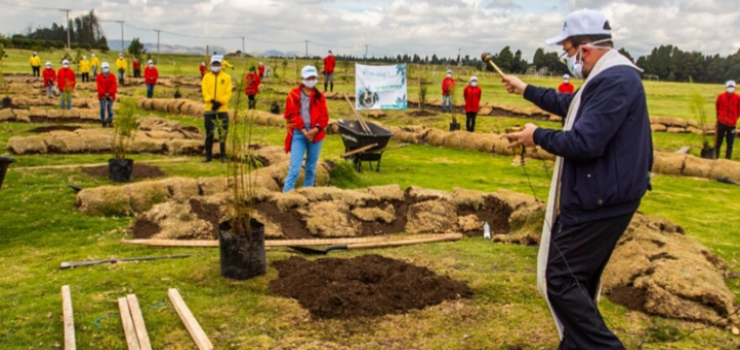 Grupo de personas sembrando en un tramo de trierra En Fontibón, primer bosque de la vida en homenaje a los fallecidos por el Covid-19