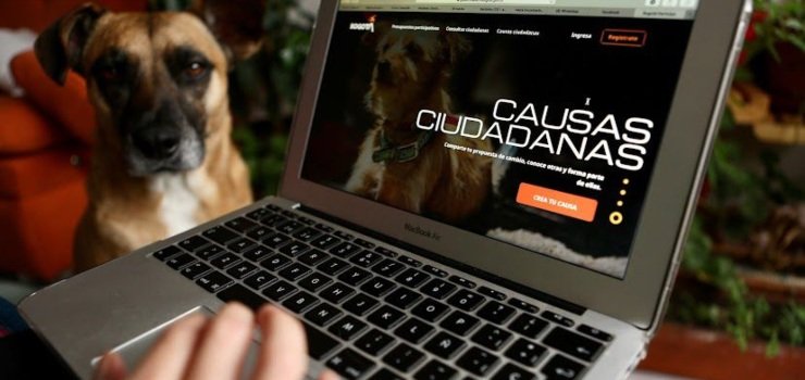 Los bogotanos votarán cinco proyectos importantes para la ciudad y el Distrito los ejecutará en el 2022