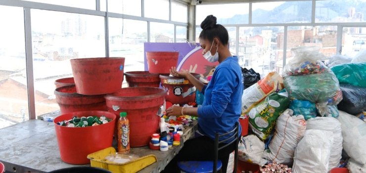 ‘Tapitas x patitas’, la iniciativa que brinda una esperanza a perros y gatos en Bogotá