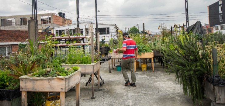 Terrazas Verdes, ejemplo de alimentación sostenible en Bogotá