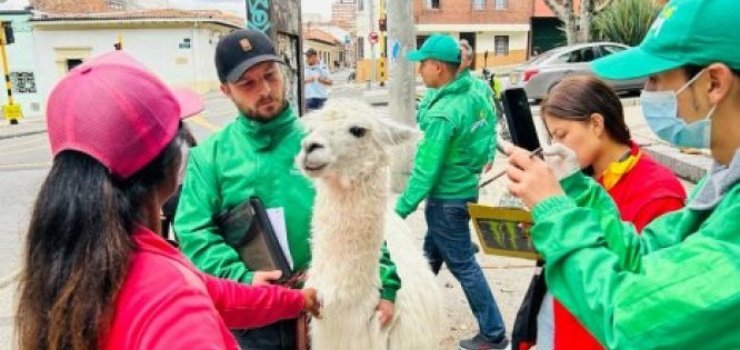 La Alcaldía Local de La Candelaria rechaza agresión contra gestor de convivencia